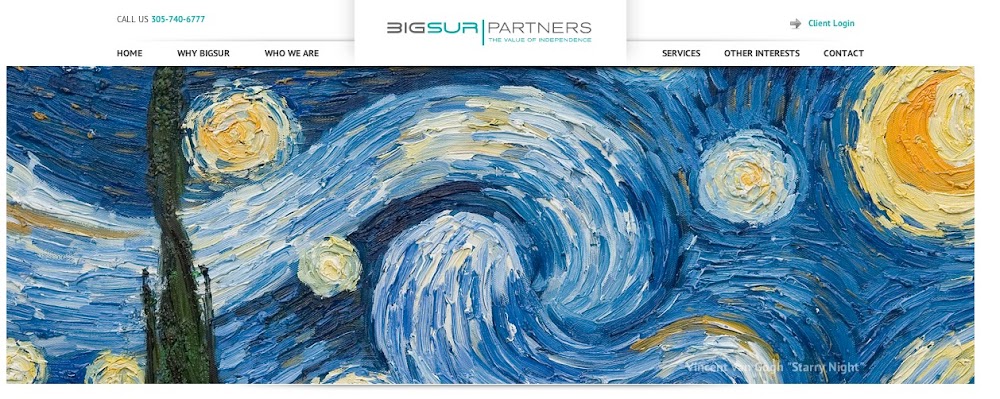 BigSur Partners