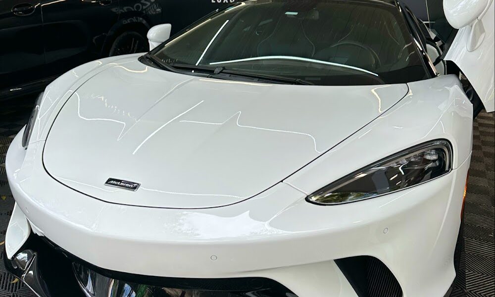 Carwash Ecozone detailing