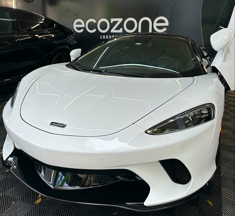Carwash Ecozone detailing