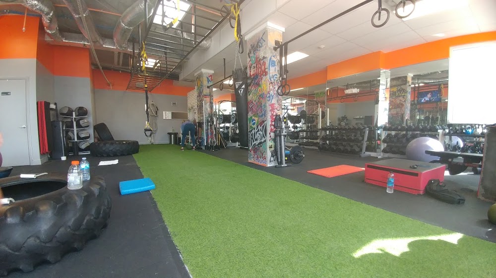 Cure Fitness