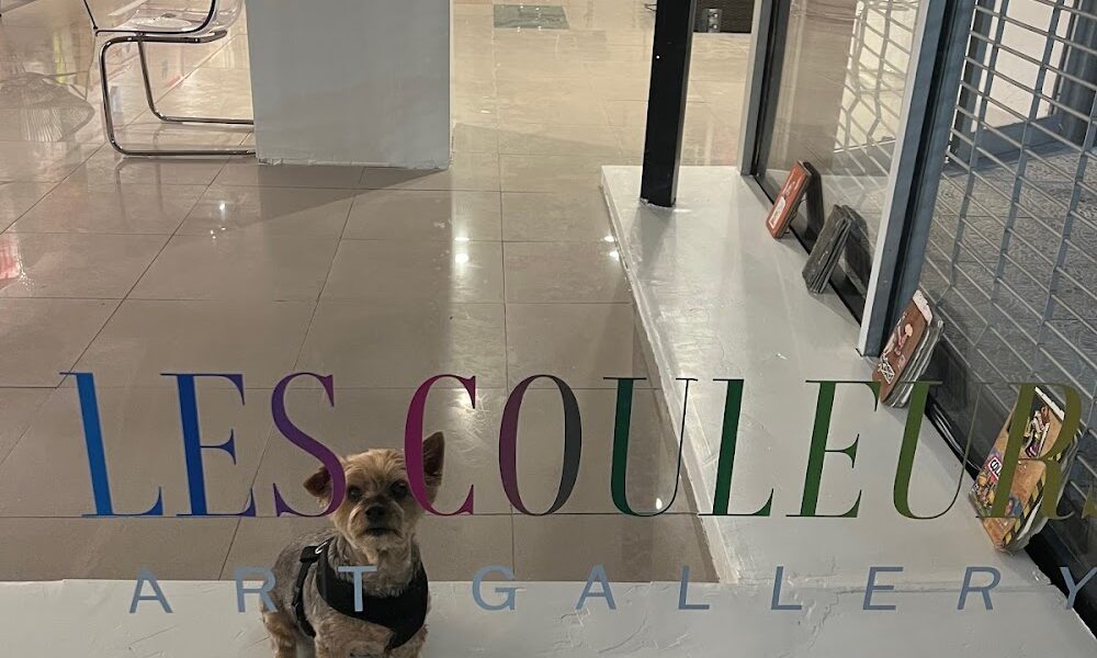 Les Couleurs Art Gallery