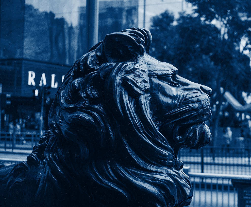 Lion Capital Advisors